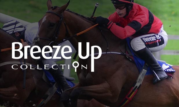 Collection Breeze Up jockey equitation 